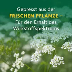 Schafgarben Saft Schoenenberger Heilpflanzensäfte