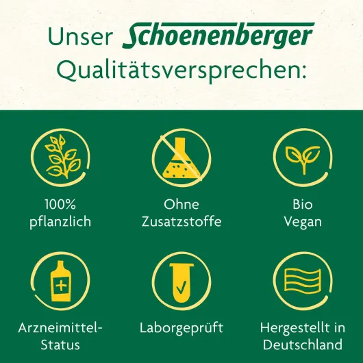 Schlankheits-Kur Apfel-Ingwer