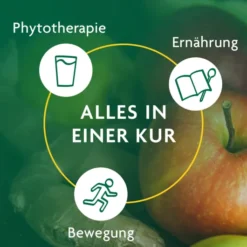 Schlankheits-Kur Apfel-Ingwer
