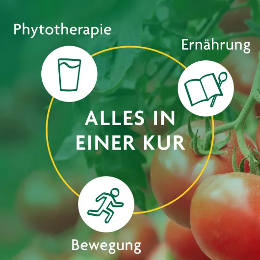 Schlankheitskur Würzige Tomate Bio Schoenenberg