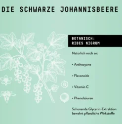 Schwarze Johannisbeere Extrakt Tropfen alkohofrei 100 ml