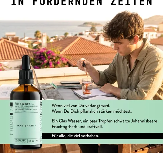 Schwarze Johannisbeere Extrakt Tropfen alkohofrei 100 ml