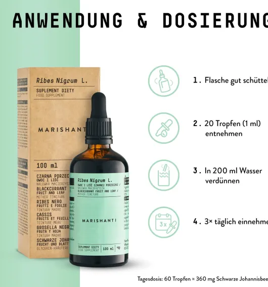 Schwarze Johannisbeere Extrakt Tropfen alkohofrei 100 ml