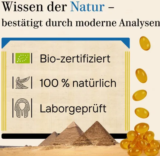 Schwarzkümmel Ägypten Pur 60 Kapseln
