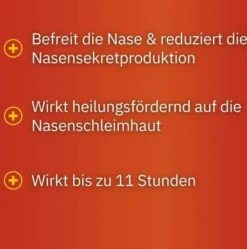 Septanasal 1 mg Je ml + 50 mg Je ml 10 ml Nasenspray