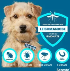 Seresto Halsband für kleine Hunde 1 Stück
