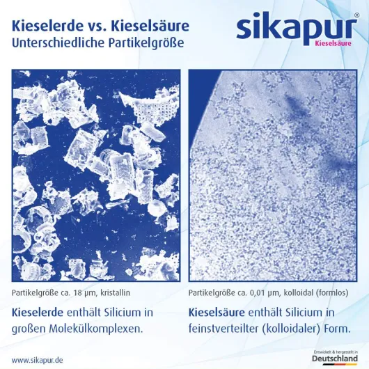 Sikapur Liquidum 500 ml