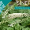 Sinei 60 Hartkapseln