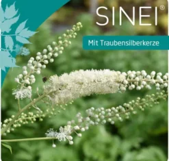 Sinei 60 Hartkapseln