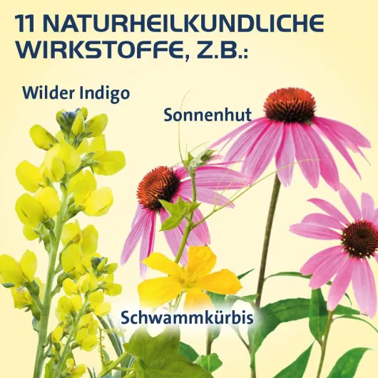 Sinusitis Hevert 300 Tabletten