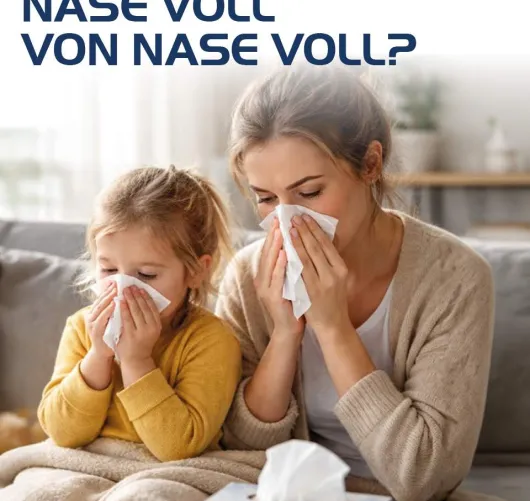 Sinusitis Hevert 100 Tabletten