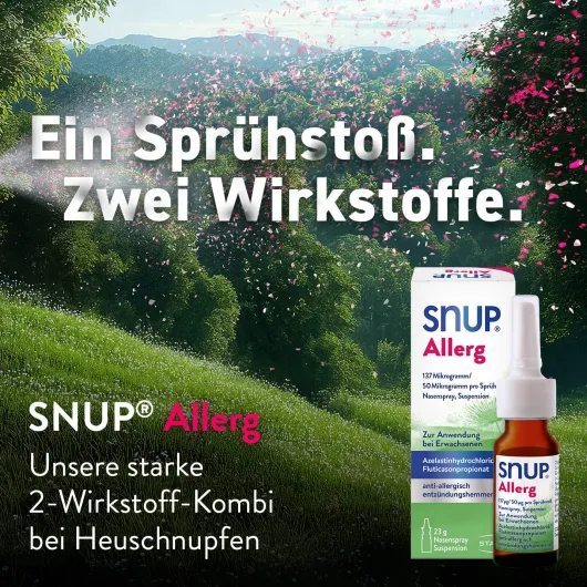 Snup Allerg Nasenspray mit Azelastin und Fluticason 23 g