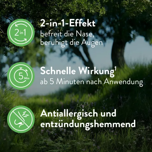 Snup Allerg Nasenspray mit Azelastin und Fluticason 23 g