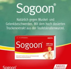 Sogoon Teufelskralle 20 Filmtabletten