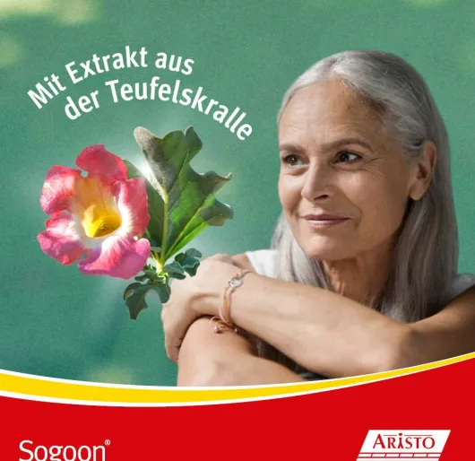 Sogoon Teufelskralle 20 Filmtabletten