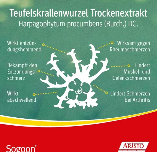 Sogoon Teufelskralle 50 Filmtabletten