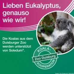 Soledum addicur 200 mg 100 magensaftresistente Weichkapseln