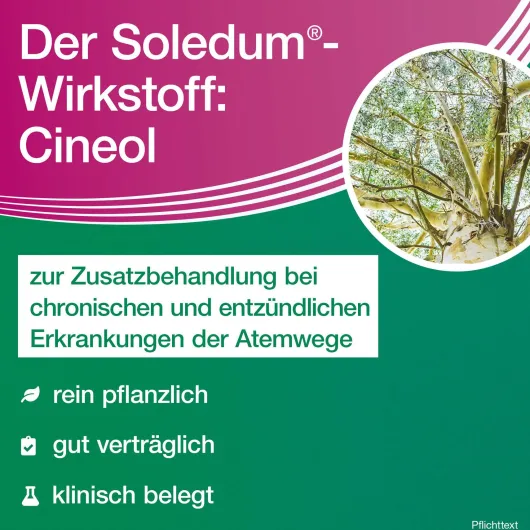 Soledum addicur 200 mg 100 magensaftresistente Weichkapseln
