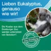 Soledum Kapseln forte 50 magensaftresistente Kapseln