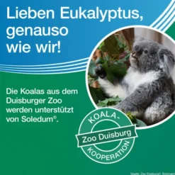 Soledum Kapseln forte 50 magensaftresistente Kapseln