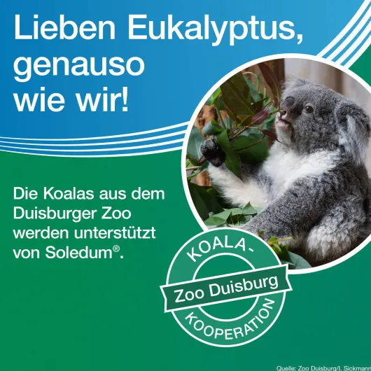 Soledum Kapseln forte 50 magensaftresistente Kapseln