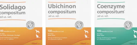 Solidago Compositum ad us.vet 100 St. + Ubichinon Compositum ad us.vet. 100 St. + Coenzym Compositum ad us.vet. 100 St.