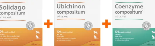 Solidago Compositum ad us.vet 100 St. + Ubichinon Compositum ad us.vet. 100 St. + Coenzym Compositum ad us.vet. 100 St.