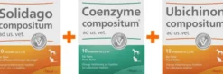 Solidago Compositum ad us.vet 10 Stk. + Ubichinon Compositum ad us.vet. 10 Stk. + Coenzym Compositum ad us.vet. 10 Stk.
