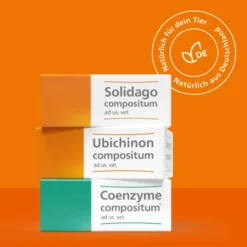 Solidago Compositum 100 Ampullen vet.