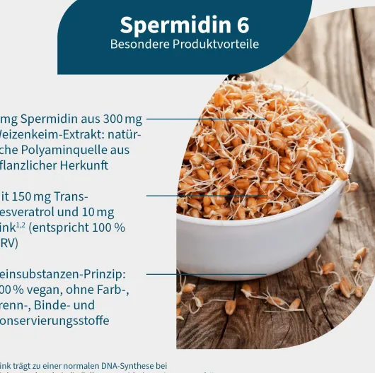 Spermidin 6 60 Kapseln