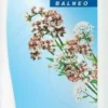 Spitzner Balneo Baldrian Ölbad 1000 ml