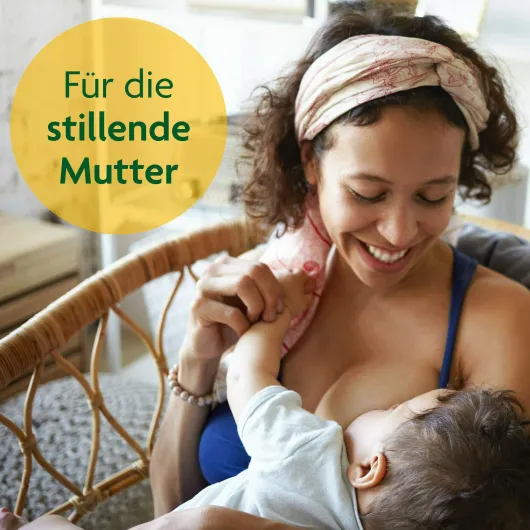 Stilltee Bio Salus 15 Filterbeutel