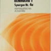 Synergon 4 A Echinacea T 200 Tabletten