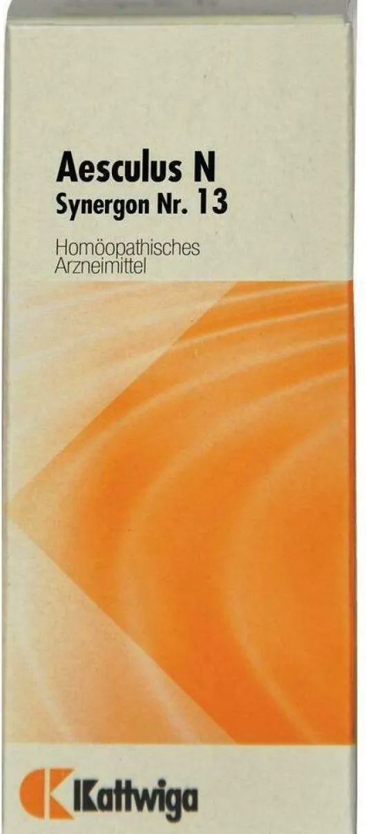 Synergon 13 Aesculus N Tropfen 50 ml