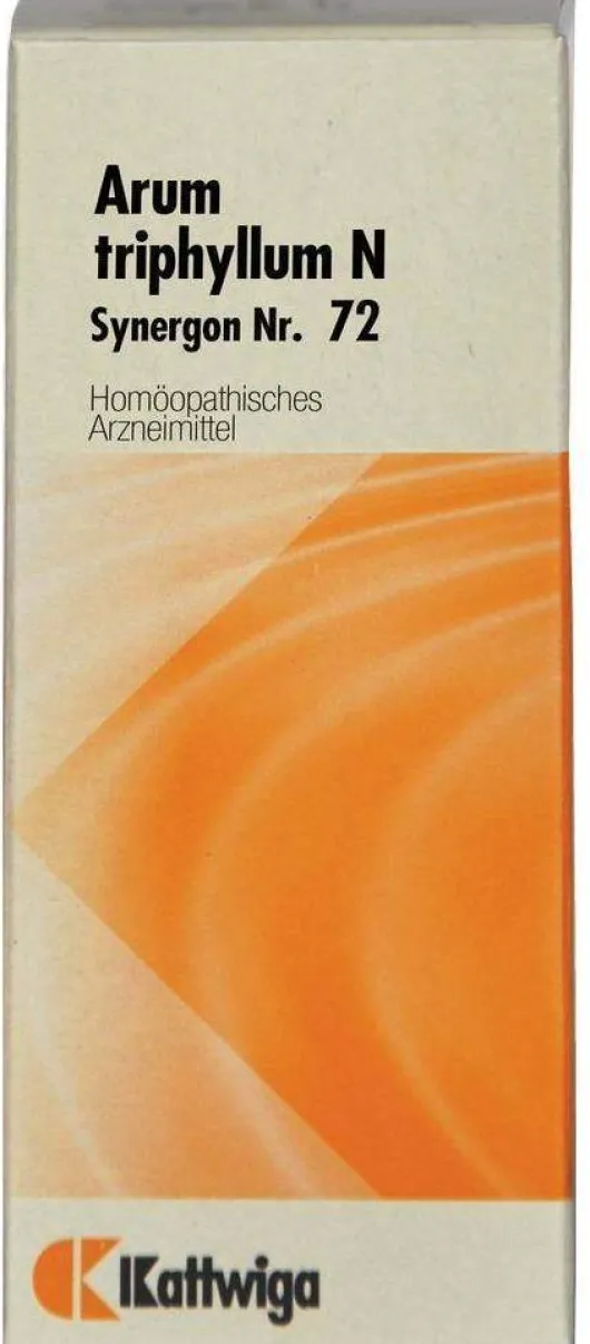 Synergon Komplex 72 Arum Triphyllum N Tropfen 50 ml Tropfen
