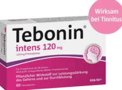 Tebonin intens 120 mg 60 Filmtabletten