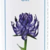 Teufelskralle Gel 100 ml