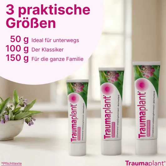 Traumaplant Schmerzcreme 150 g