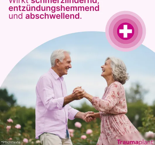 Traumaplant Schmerzcreme 150 g