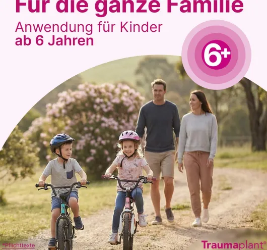 Traumaplant Schmerzcreme 150 g