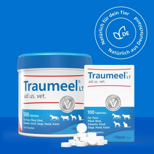 Traumeel Lt Ad Us.Vet.Tabletten 500 Stück
