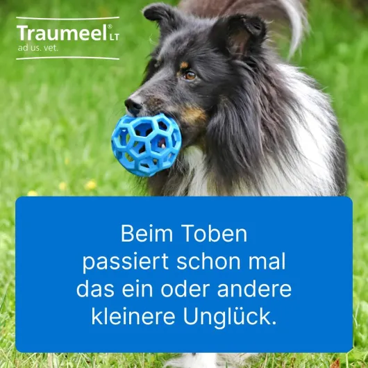 Traumeel Lt Ad Us.Vet.Tabletten 500 Stück