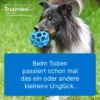 Traumeel Lt Ad Us.Vet.Tabletten 100 Stück