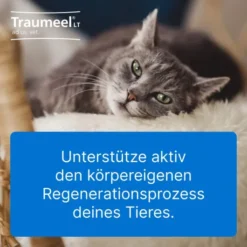 Traumeel Lt Ad Us.Vet.Tabletten 100 Stück