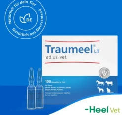 Traumeel LT ad us.vet. 100 x 5 ml Ampullen