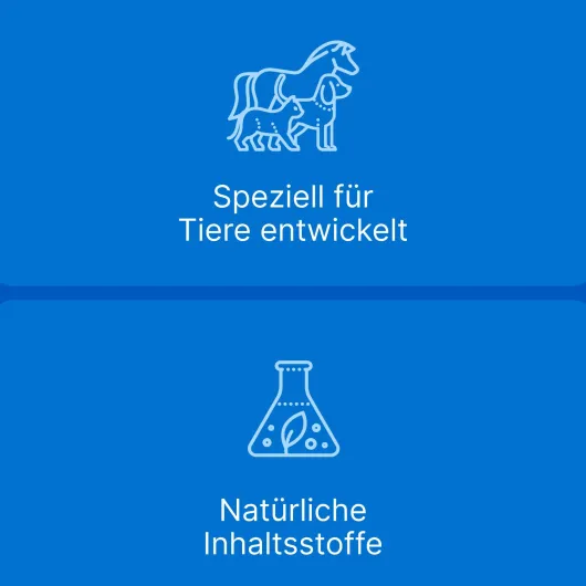 Traumeel LT ad us.vet. 100 x 5 ml Ampullen