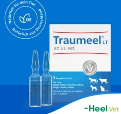 Traumeel Lt vet. 5 X 5 ml Ampullen