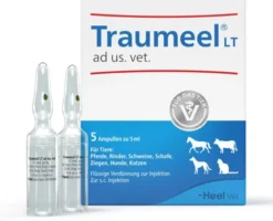 Traumeel Lt vet. 5 X 5 ml Ampullen