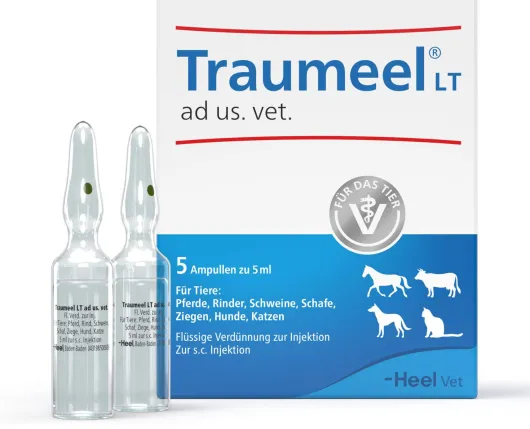 Traumeel Lt vet. 5 X 5 ml Ampullen