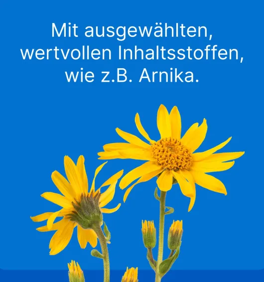 Traumeel Lt vet. 5 X 5 ml Ampullen